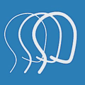 biausa.webp